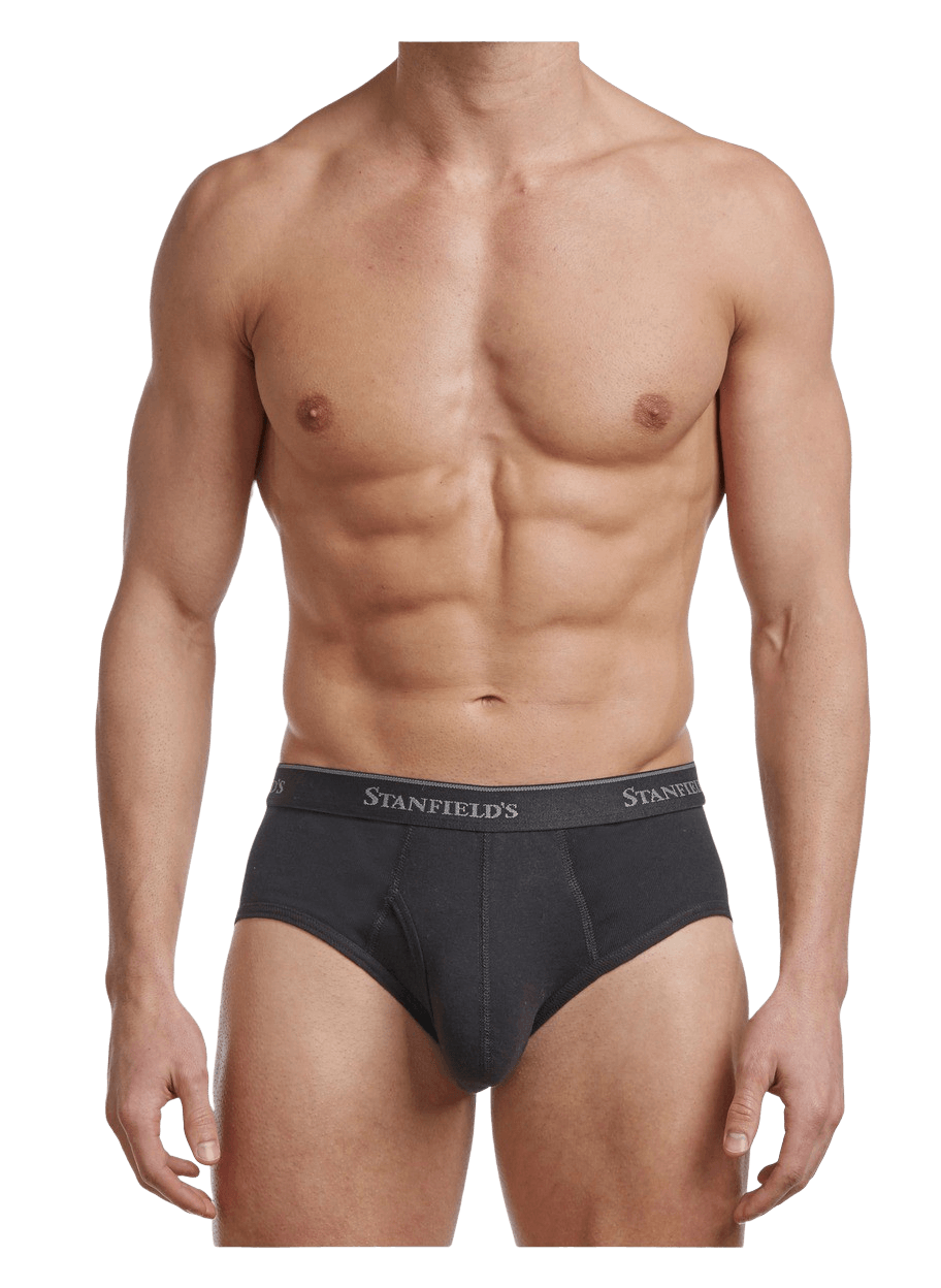 Men's Premium Modern Fit Brief - 2 Pack