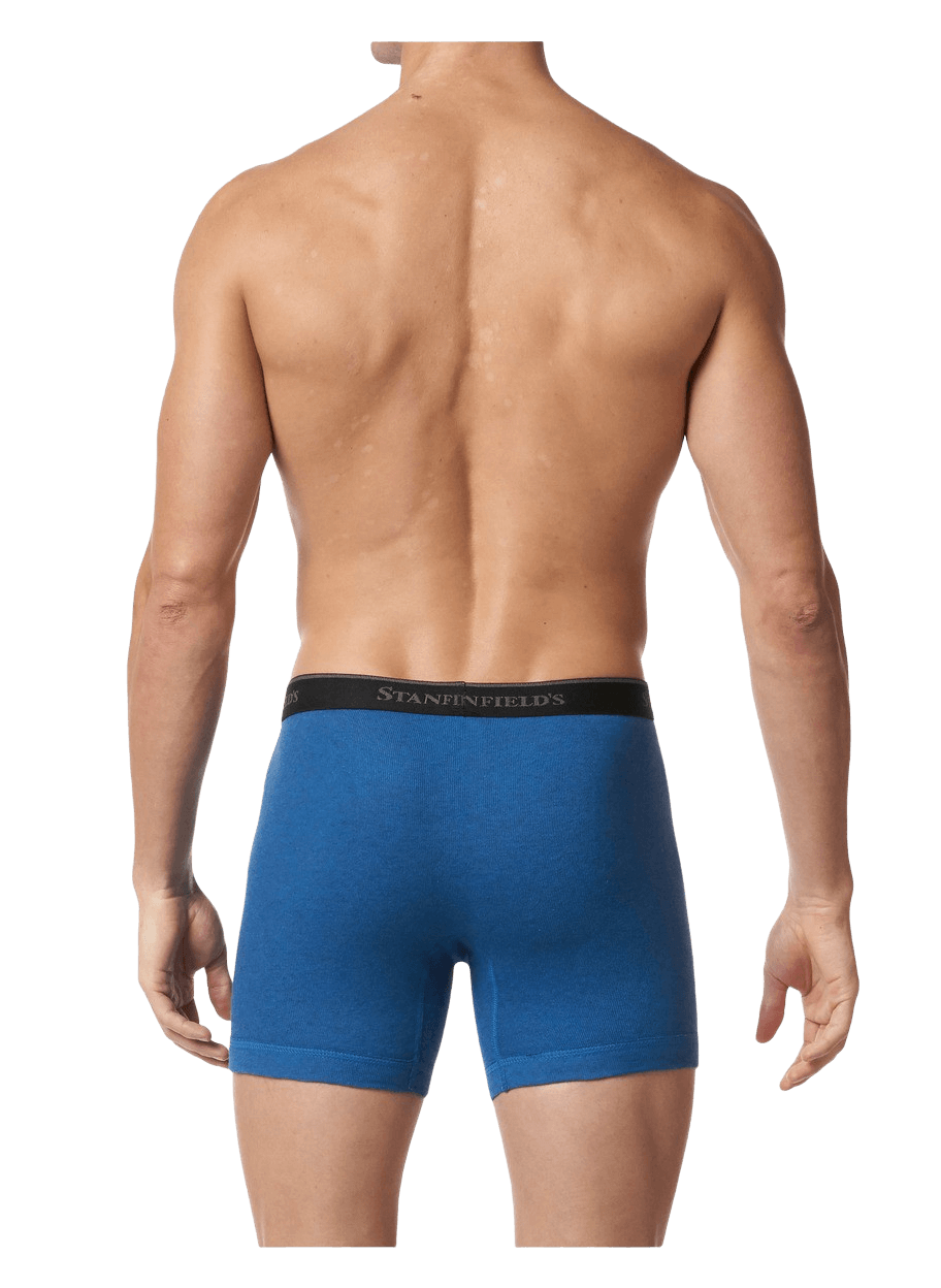 Boxer Brief- 2 pack - Premium Cotton