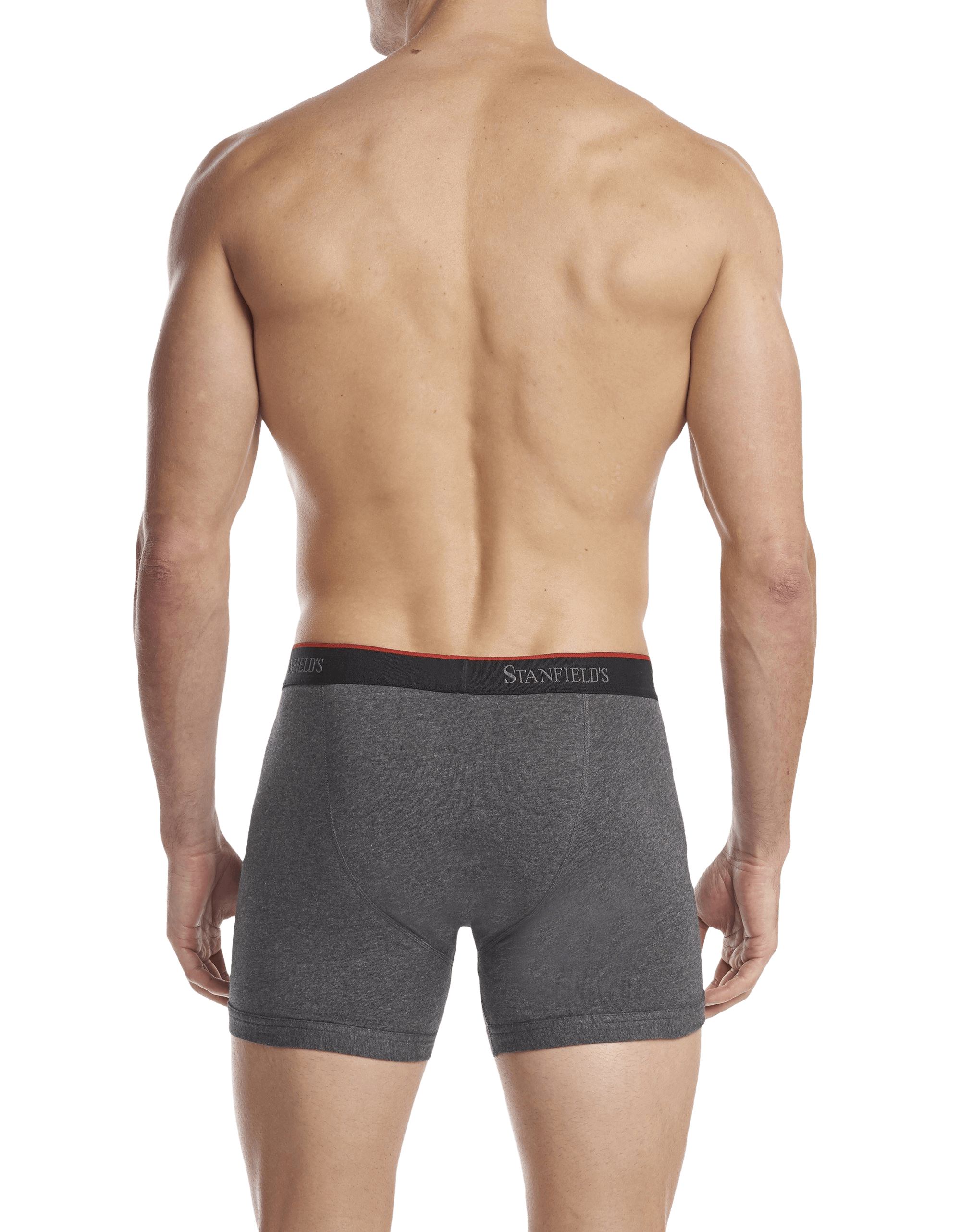 Men's Stretch Boxer Brief - 2 Pack - Back - Graphite