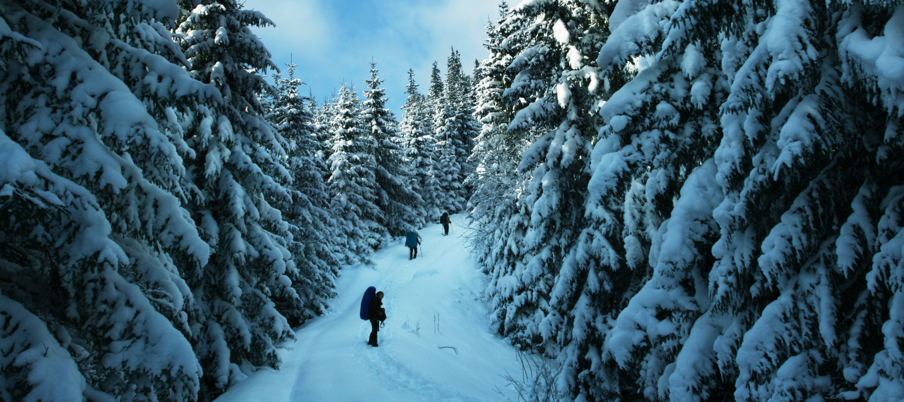 People hiking in cold weather