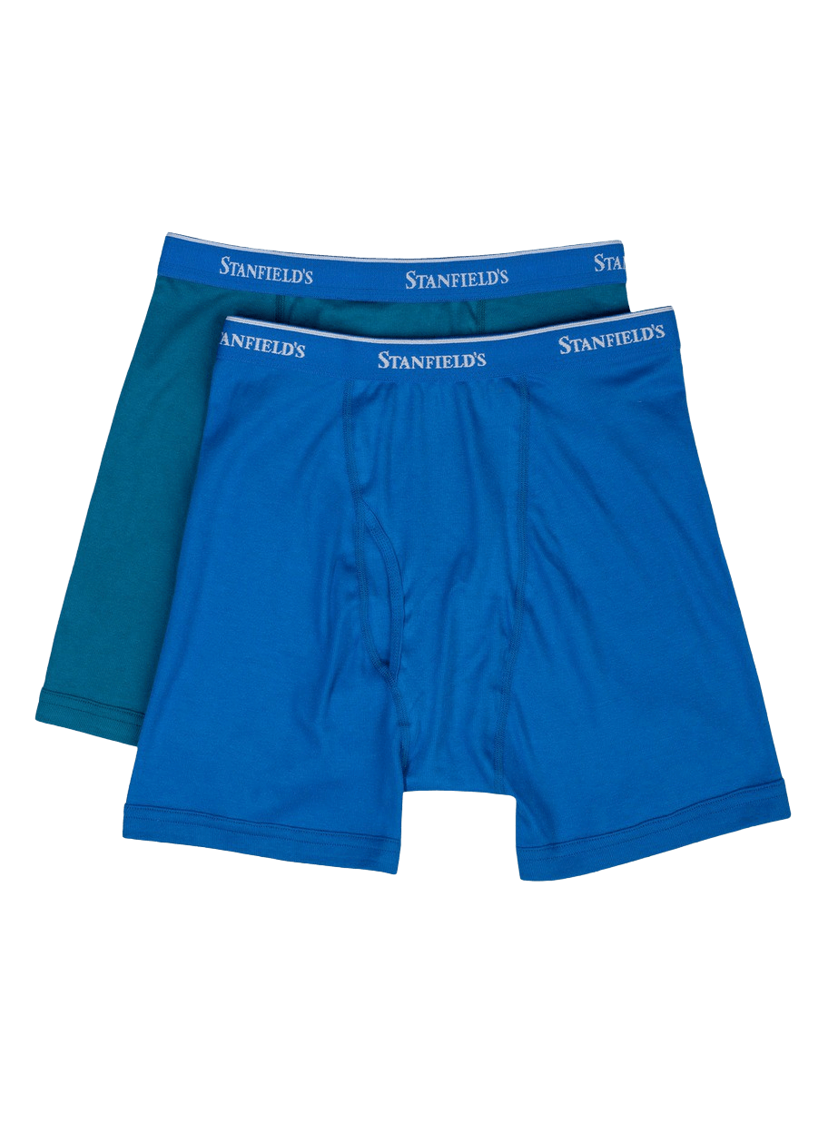 Boxer haut de gamme pour homme - lot de 2