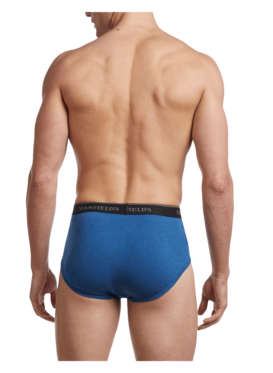 Bonds Guyfront Briefs 3-Pack MZ953A Black/Navy/Red Mens Underwear