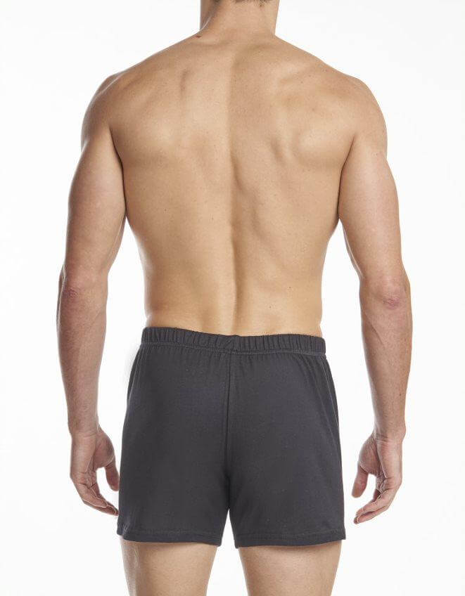 Boxer haut de gamme pour hommes - lot de 2