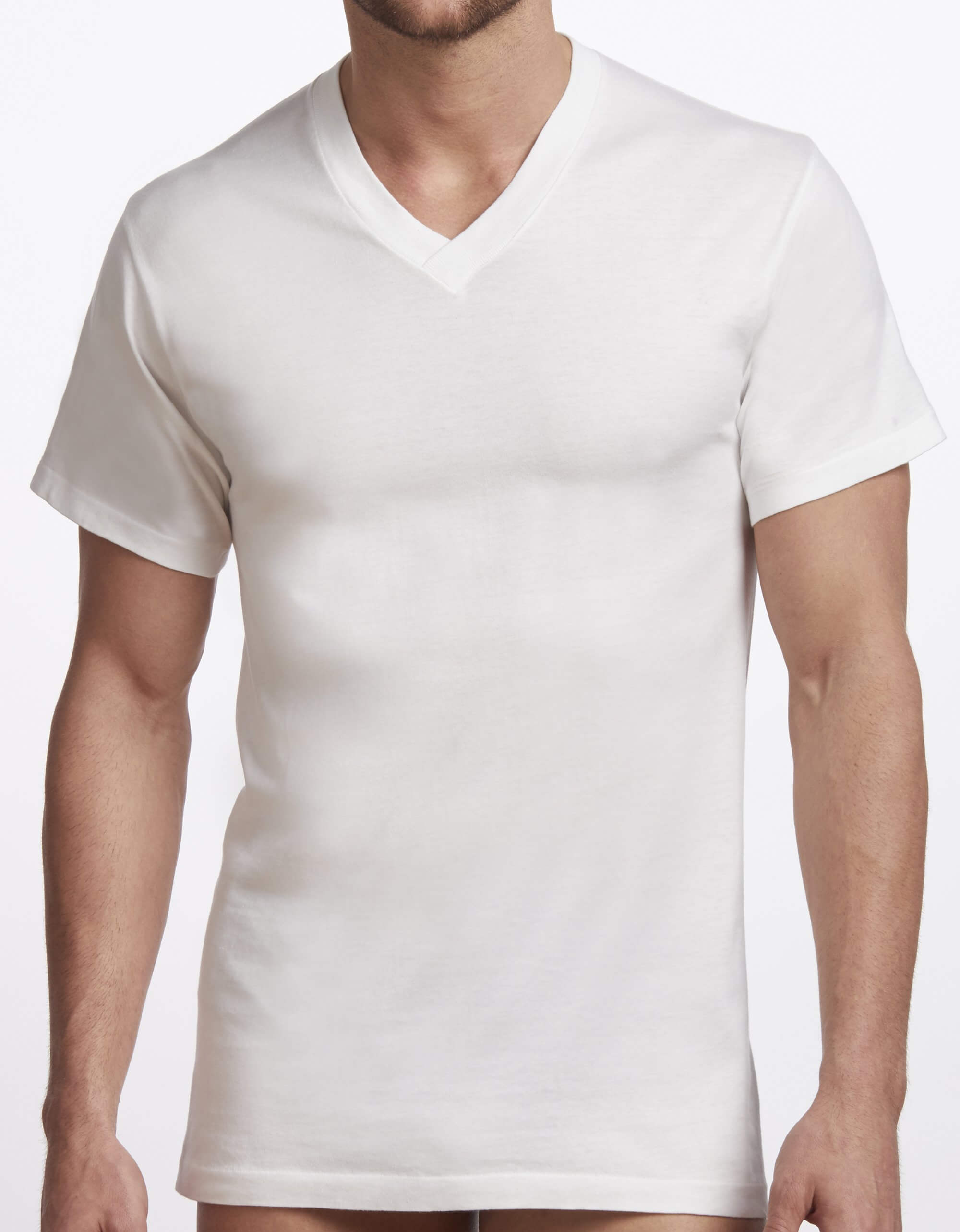 Men's Premium Cotton V-neck T-Shirt - 2 pack