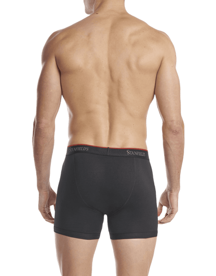 Men's Stretch Boxer Brief - 2 Pack - Back - Black