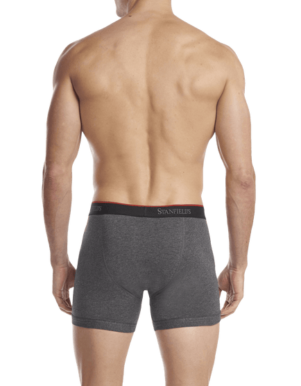 Men's Stretch Boxer Brief - 2 Pack - Back - Graphite