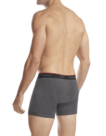 Men's Stretch Boxer Brief - 2 Pack - Side - Graphite