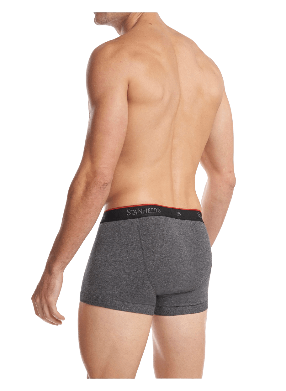 Stretch Trunk- 2 Pack