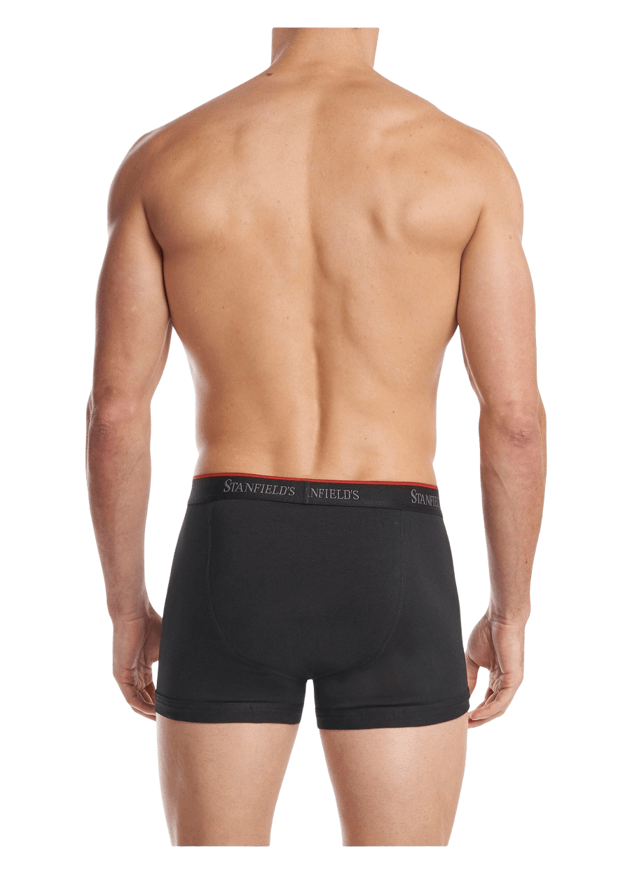 Men's Trunk Briefs Stretch Collection (2 Pack)