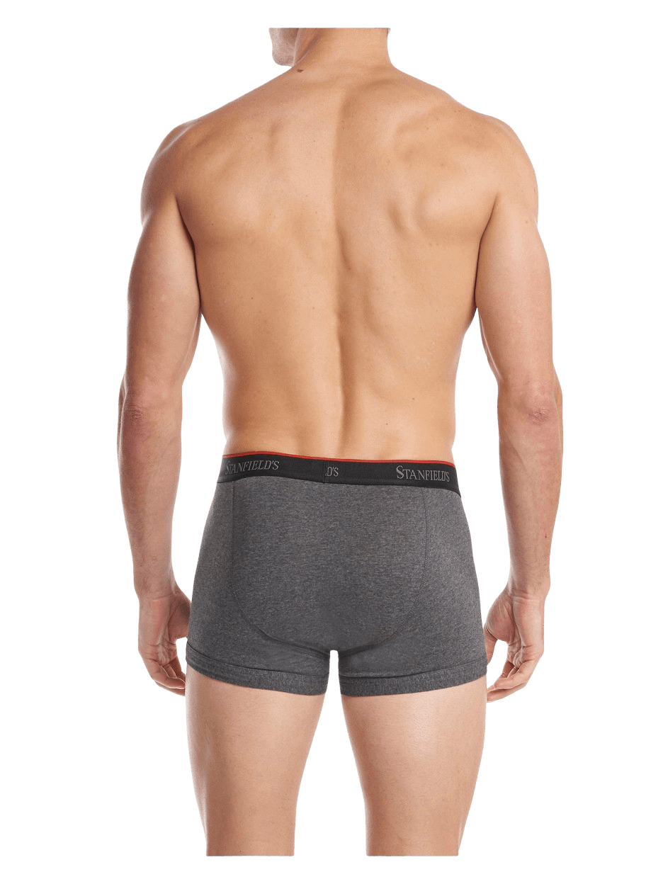 Stretch Trunk- 2 Pack